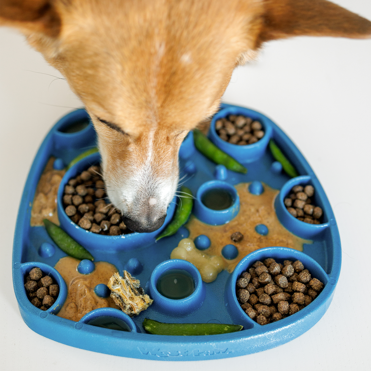 Dog eating from the West Paw Feast Mat