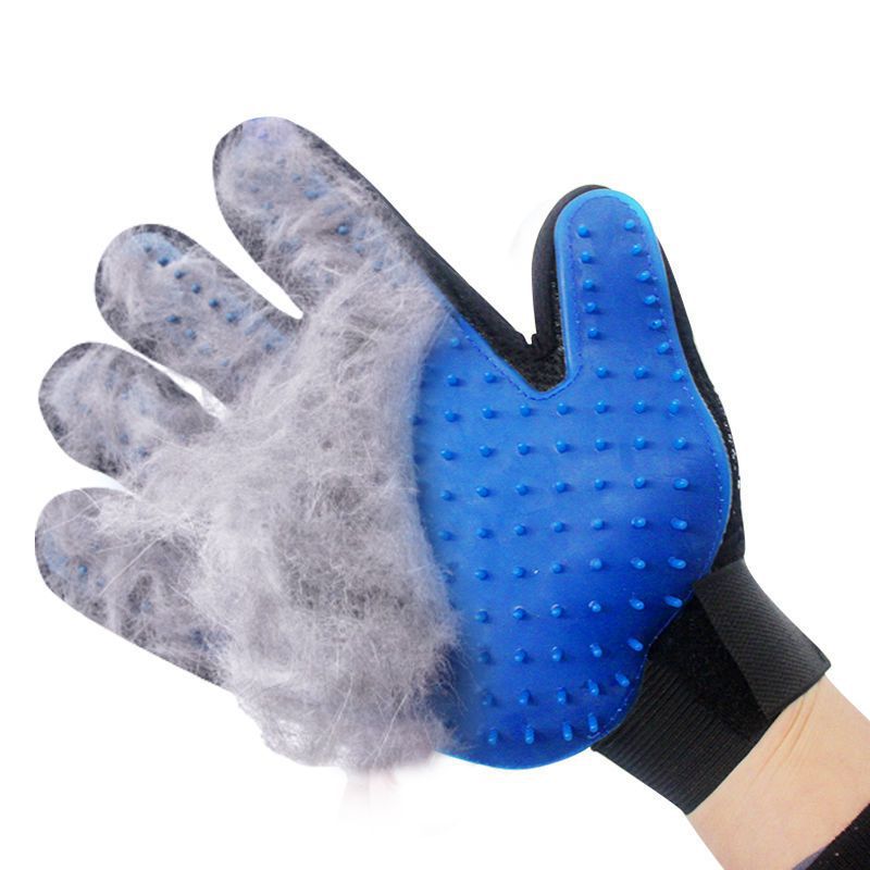 Blue silicone grooming glove worn on a hand, covered in loose gray pet fur after deshedding