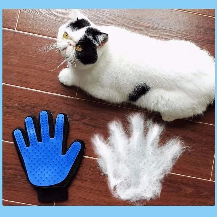 Black and white cat lying on a wood floor next to a blue silicone grooming glove and a hand-shaped pile of removed white fur