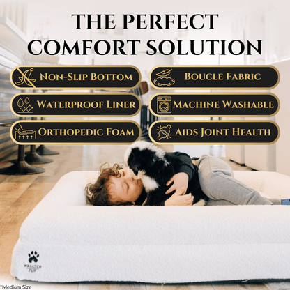 Wasatch Pup Memory Foam Orthopedic Dog Bed with Bolsters
