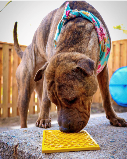 SodaPup Honeycomb eMat Lick Mat for Dogs & Cats – USA Made