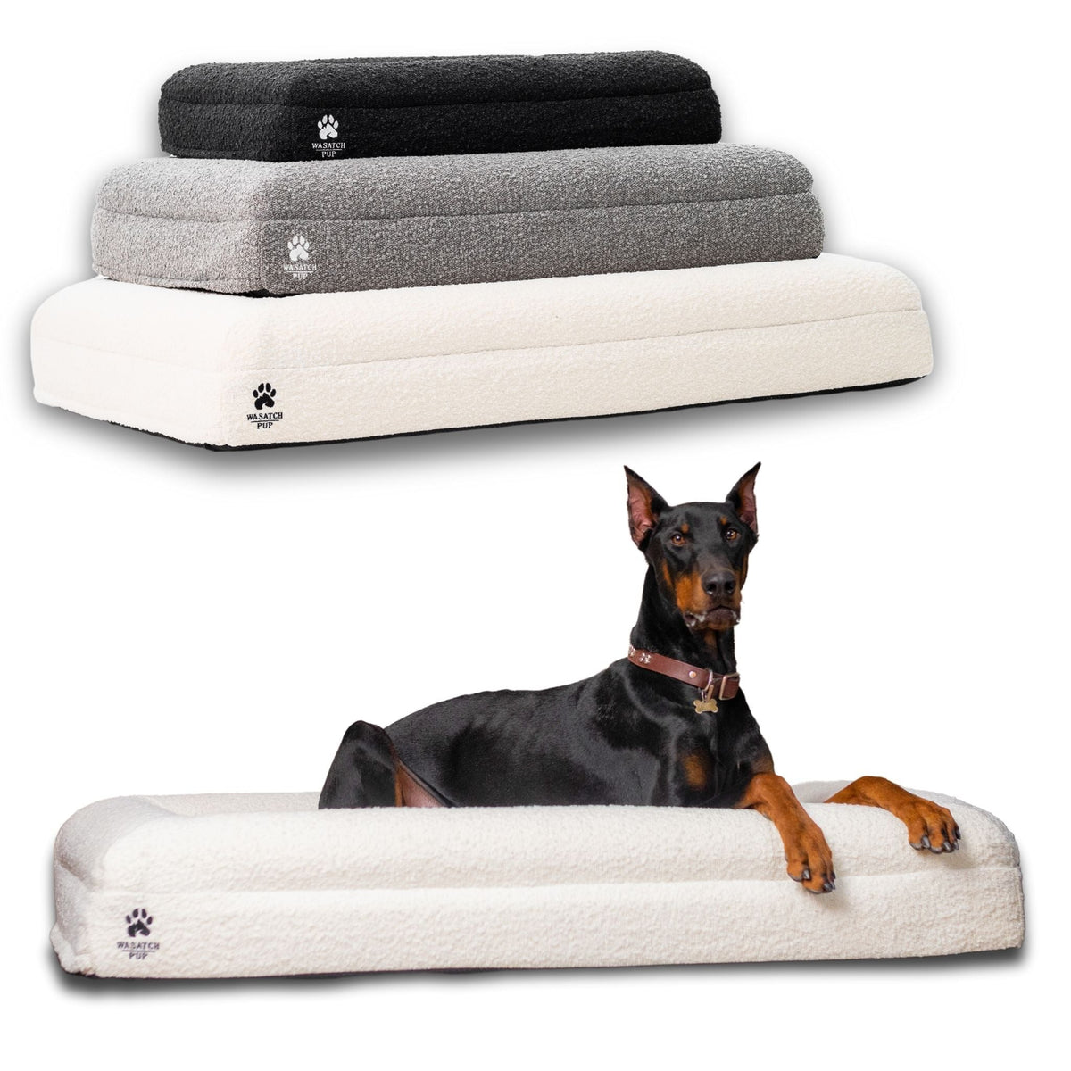 Wasatch Pup Memory Foam Orthopedic Dog Bed with Bolsters
