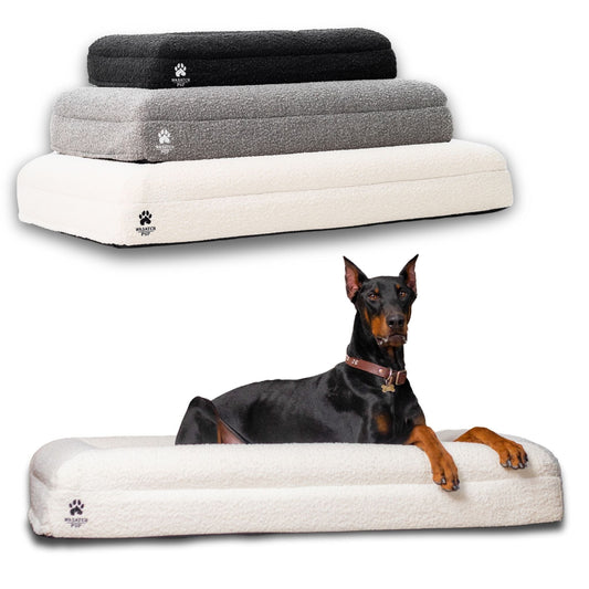 Wasatch Pup Memory Foam Orthopedic Dog Bed with Bolsters