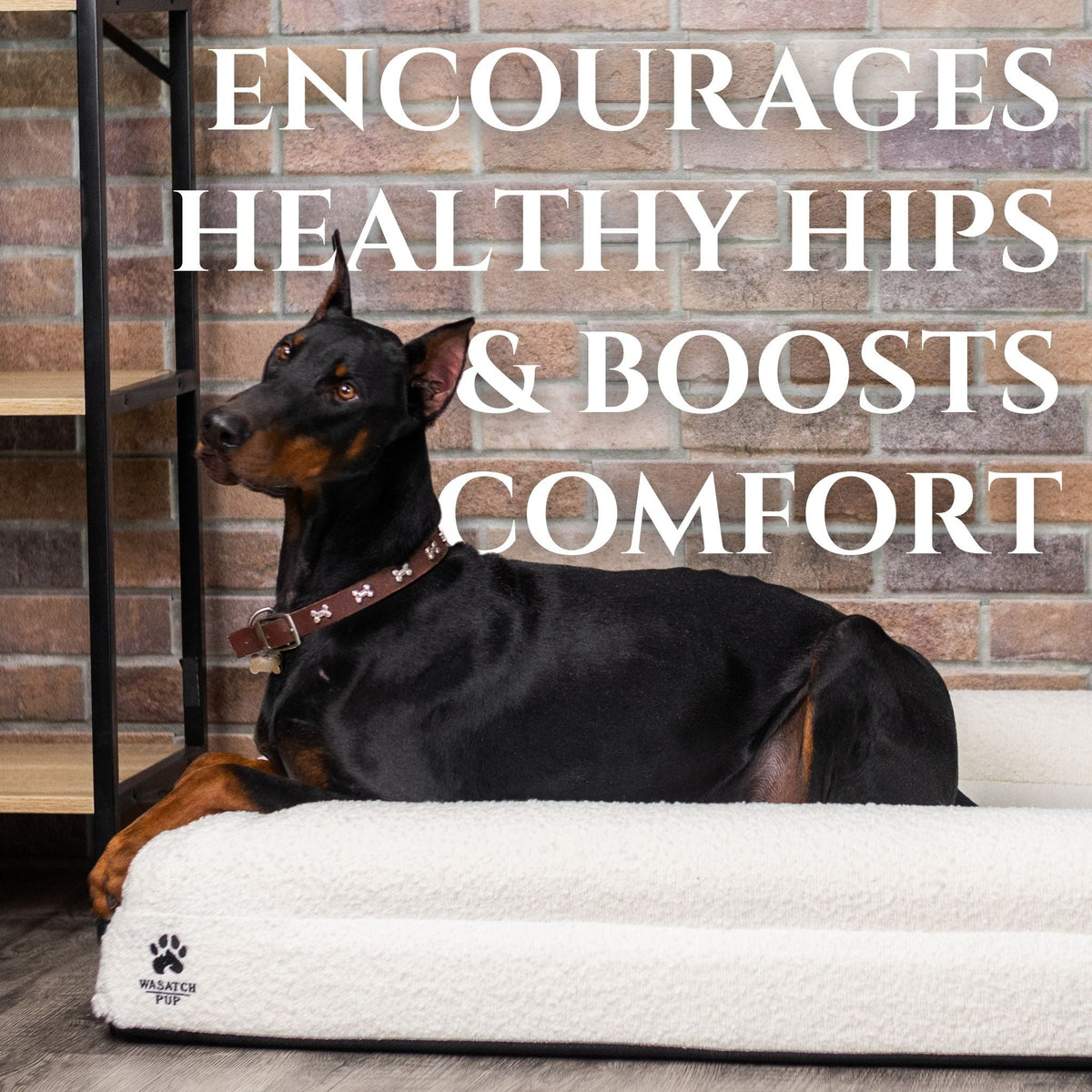Wasatch Pup Memory Foam Orthopedic Dog Bed with Bolsters