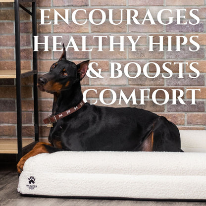 Wasatch Pup Memory Foam Orthopedic Dog Bed with Bolsters