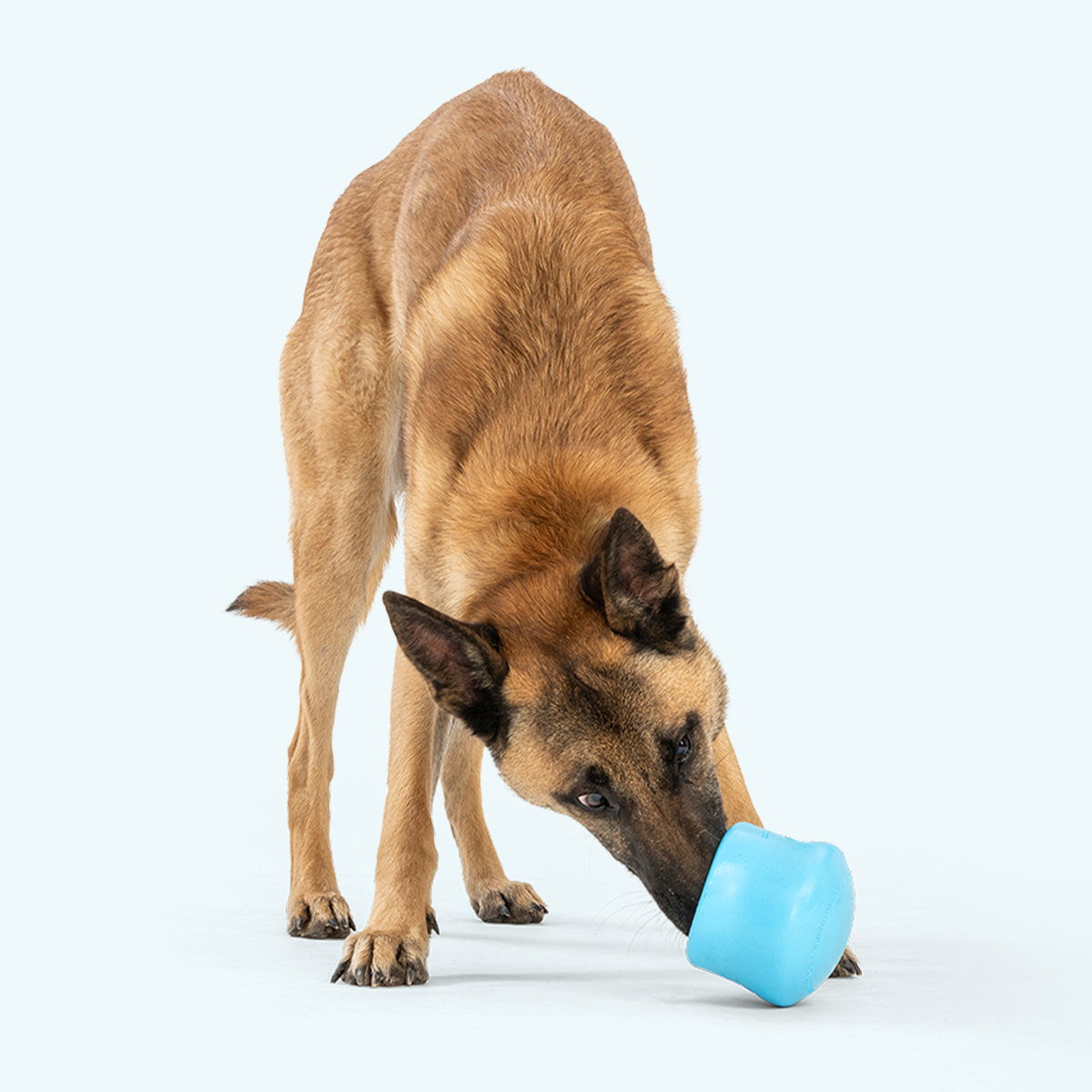West Paw Toppl Treat Dispensing Dog Puzzle Toy