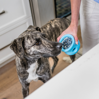 West Paw Toppl Treat Dispensing Dog Puzzle Toy