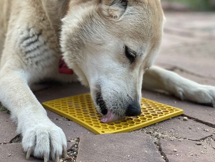 SodaPup Honeycomb eMat Lick Mat for Dogs & Cats – USA Made